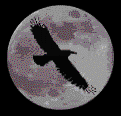 moon w/bird